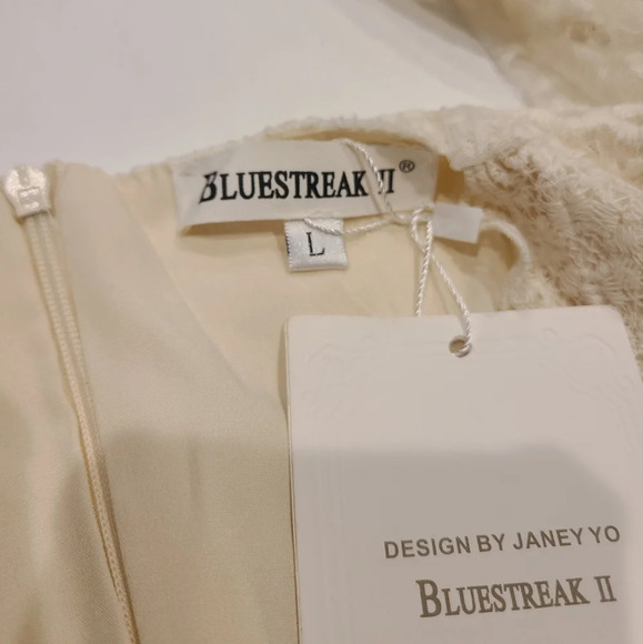 NWT Bluestreak Ivory Lace Dress - Picture 6 of 12